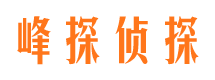 利辛侦探调查公司